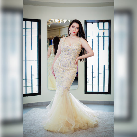 Vestido Aspeed